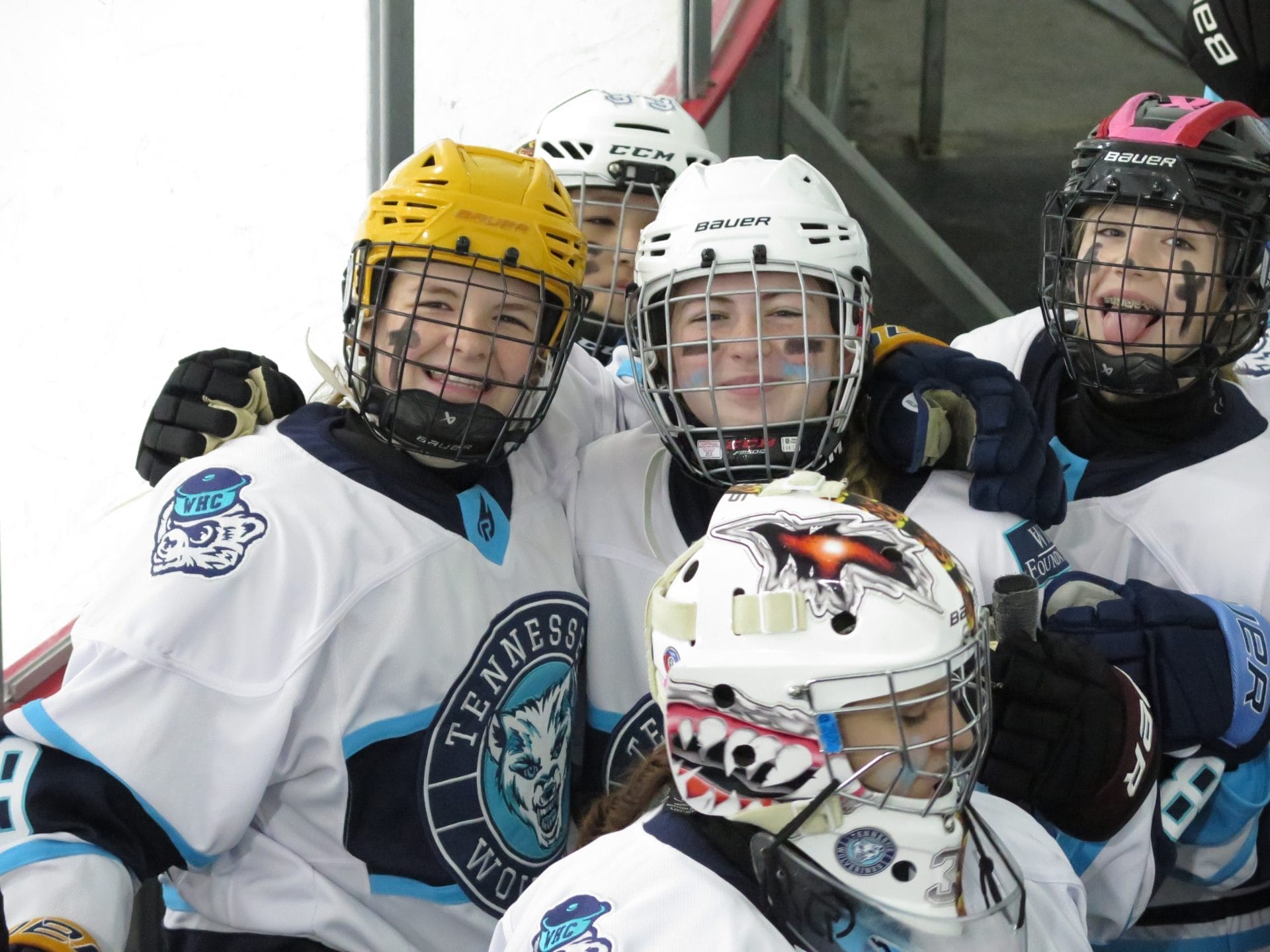 Wolverines Wolverines